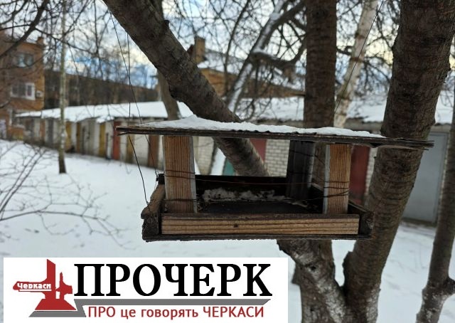 Без назвиавфифі