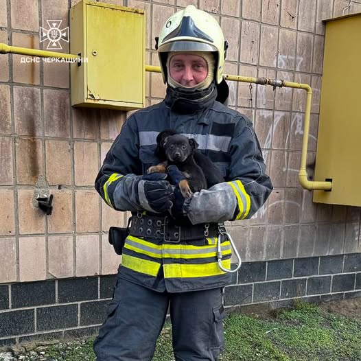 605120538_1293815056116532_933659011444279286_n