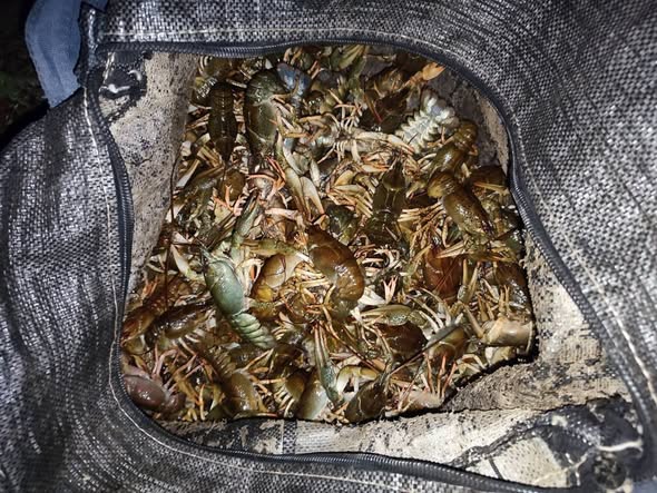 Фото: chrk.darg.gov.ua