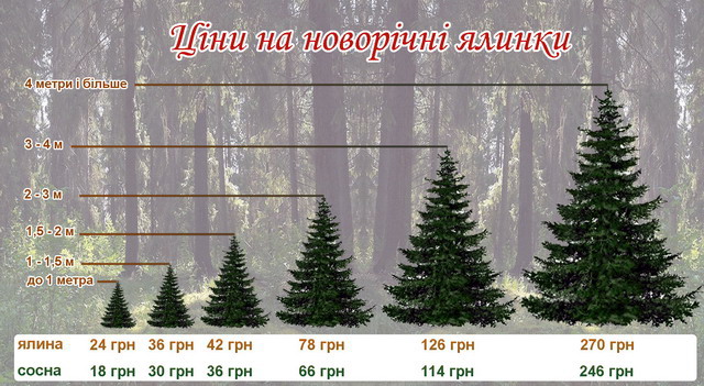 Інформація - сайт lis.ck.ua