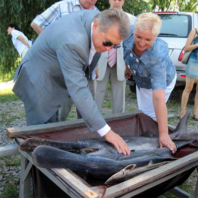 "Я нормальний чоловік, якому притаманне все, що притаманне будь-якому нормальному чоловіку..."