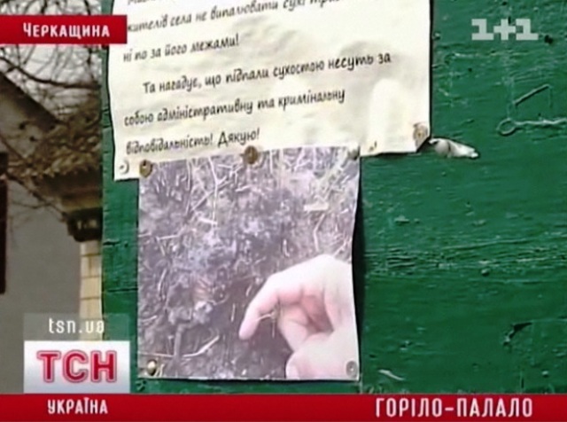 На фото – тушка обгорілого зайця