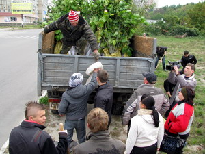 Активісти отримують саджанці...