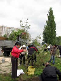 Робота кипить...