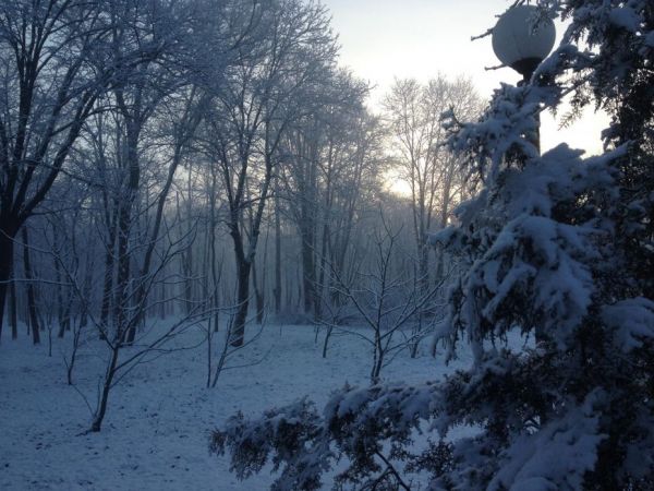 Фото Mykola Bondarenko