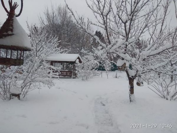 Фото Ярослава Шаблія