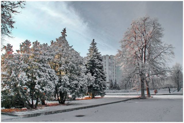 Фото Олександр Костирко