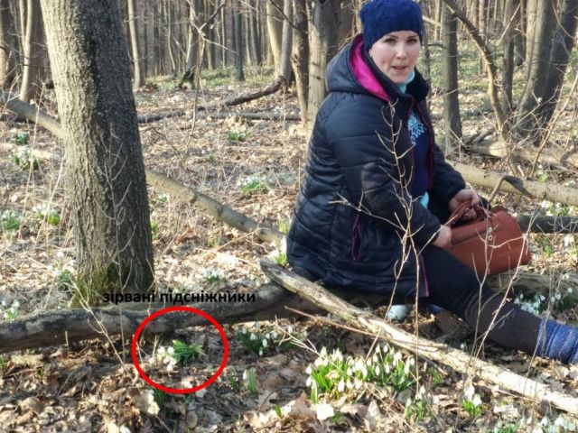 Фото зі сторінки ВО "Свобода"