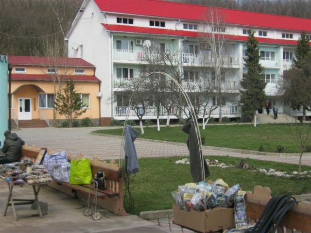 санаторій „Теплиця”; 5– такі качки вільно гуляють територією санаторію