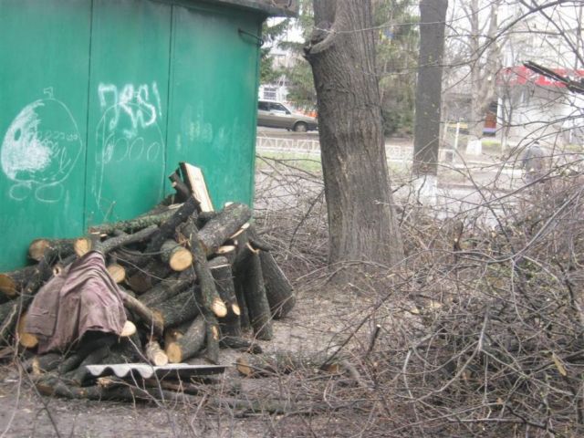 Схоже, не в останню чергу кронування здійснюється через чиюсь потребу у дровах